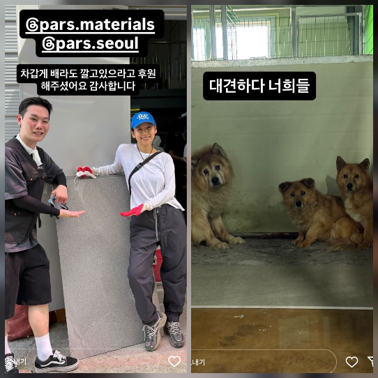 유기견 보호소에서 찍은 사진. 사진제공 이효리 sns