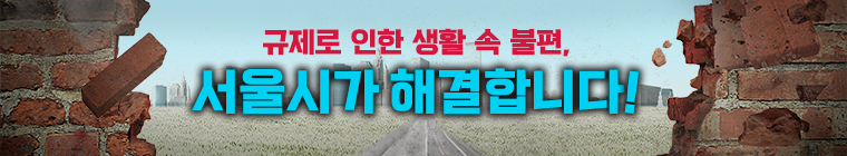 규제로 인한 생활 속 불편,
서울시가 해결합니다!