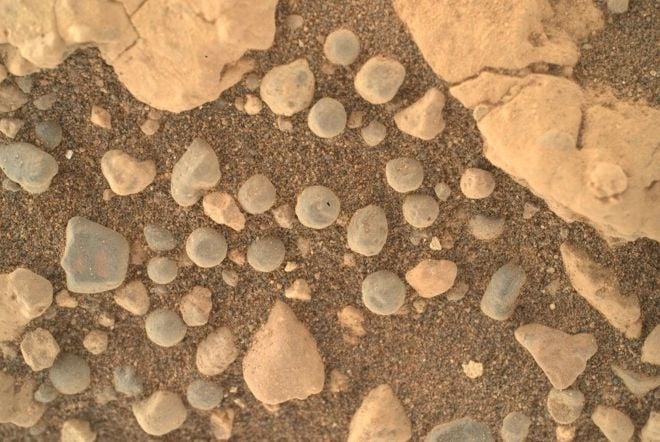 퍼서비어런스가 화성 땅에서 포착한 동그란 형태의 돌 모습. (사진제공 NASA/JPL-Caltech)