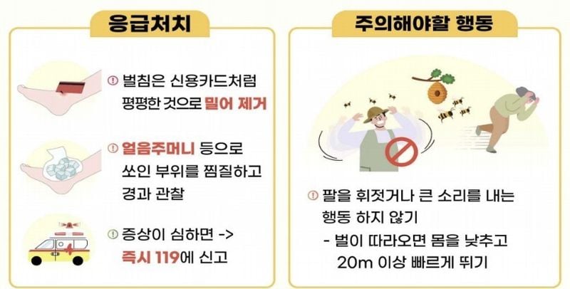 사진제공 질병관리청