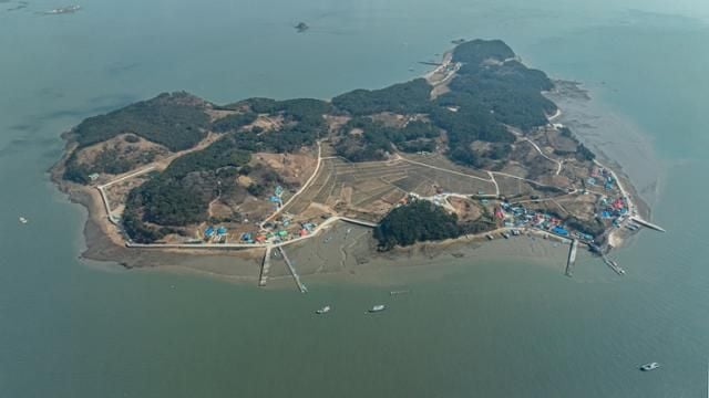 효자도