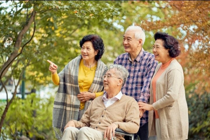 퍼블릭 도메인 