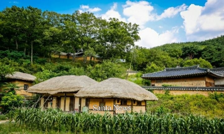 퍼블릭 도메인 