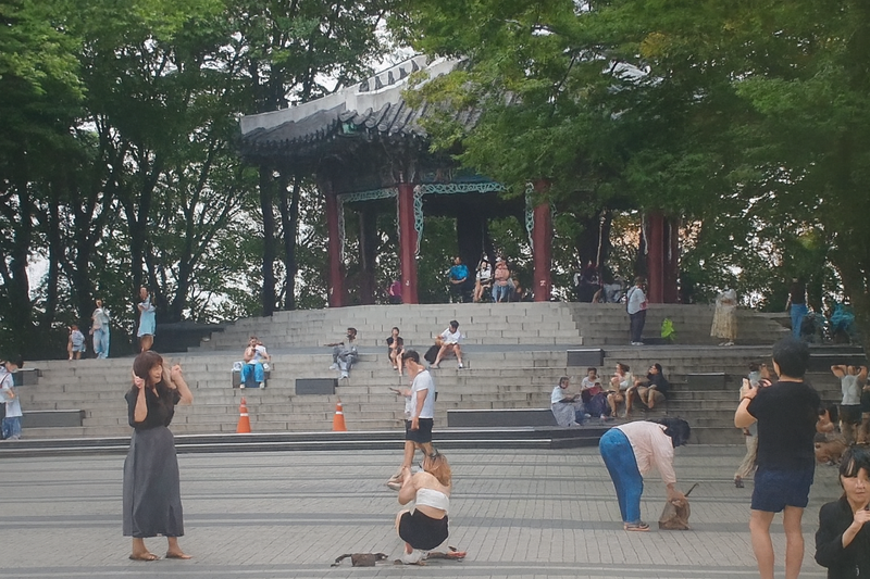 AI생성이미지