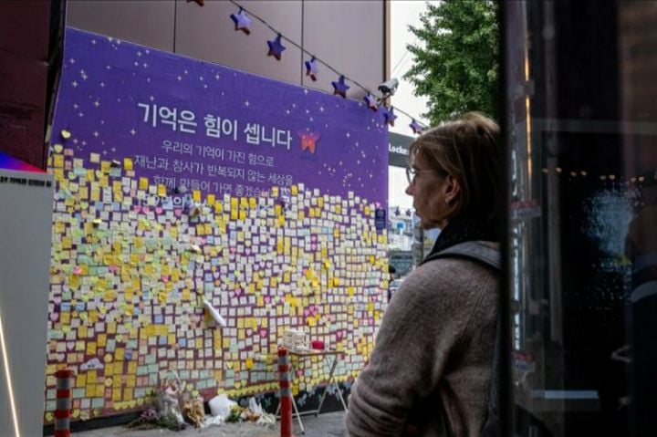 퍼블릭 도메인 