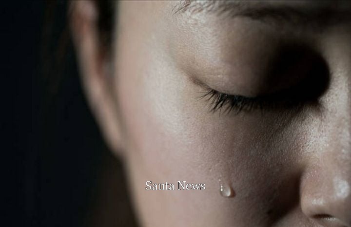 퍼블릭 도메인 