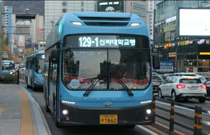 [사진제공 나무위키] 