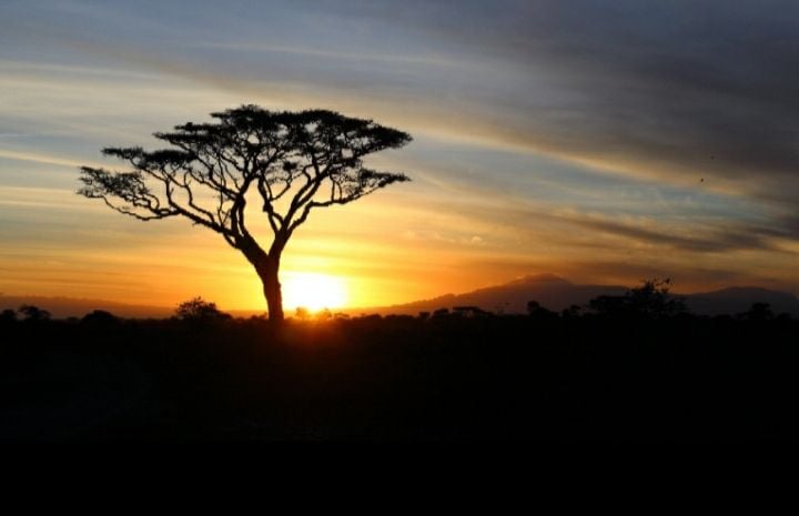 사바나 해돋이 CC0