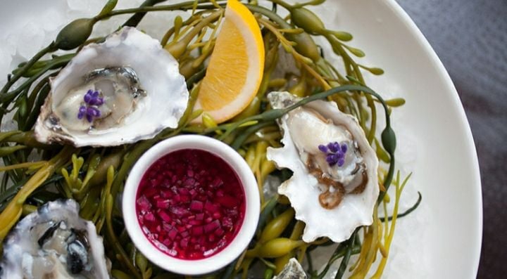 [퍼블릭 도메인]