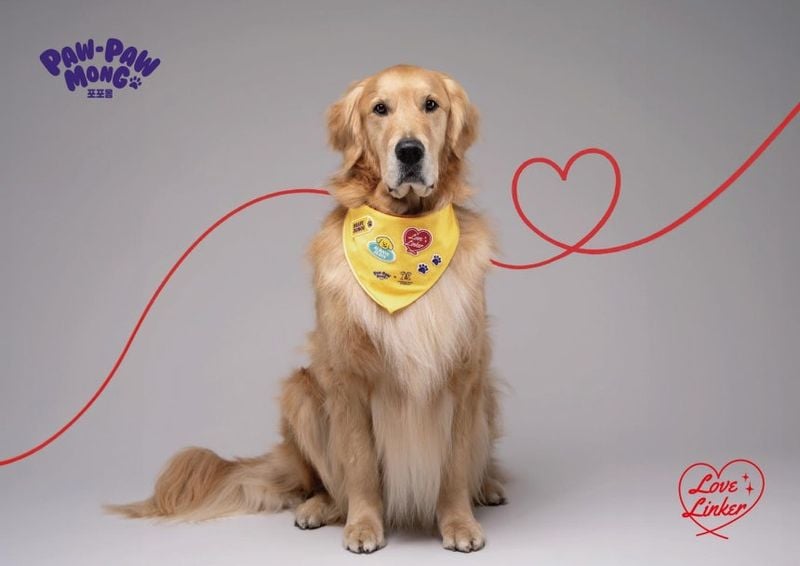 [사진제공 깨끗한나라]