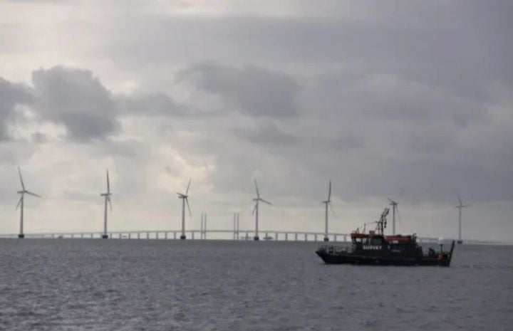 해상 풍력 단지의 모습 [사진제공 나무위키]