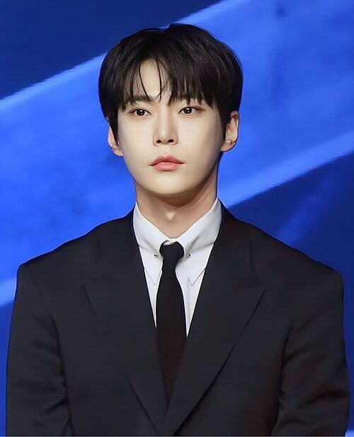 도영(본명: 김동영, 1996년 2월 1일~)은 대한민국의 가수이자 배우이자 뮤지컬배우로 대한민국의 보이 그룹 NCT 도재정의 멤버이다 [사진제공 위키백과]
