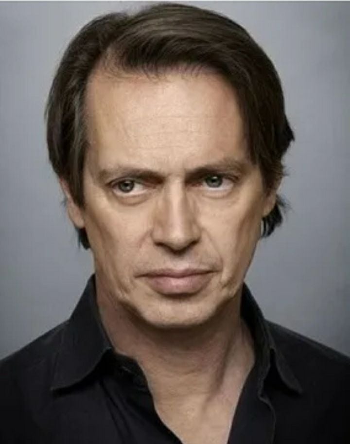 스티브 부세미(Steve Buscemi,&nbsp;1957년&nbsp;12월 13일&nbsp;~ )는&nbsp;미국의&nbsp;배우,&nbsp;영화 감독이다. 1980년부터 1984년까지&nbsp;뉴욕 소방국에서 근무했으며, 이후 1984년 영화 'The Way It Is'으로 배우로 데뷔했다.&nbsp;보드워크 엠파이어로 2011년 제17회&nbsp;미국배우조합상&nbsp;드라마 부문 남우주연상과 제68회&nbsp;골든글로브&nbsp;시상식 TV드라마 부문 남우주연상을 수상했다. [사진제공 나무위키]