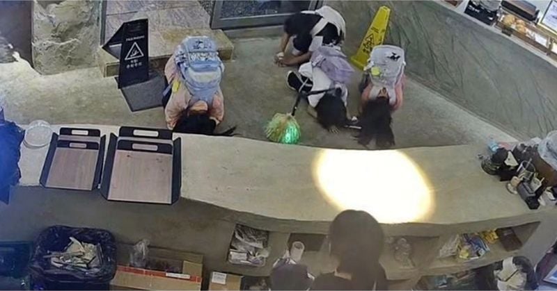 빵을 살 돈이 부족했던 초등학생들에게 카페 점주가 크루아상을 선물하자, 아이들이 직원들 앞에 나란히 엎드려 큰절로 감사 인사를 전하고 있다. 사진 출처: 스레드(@dal__soup)