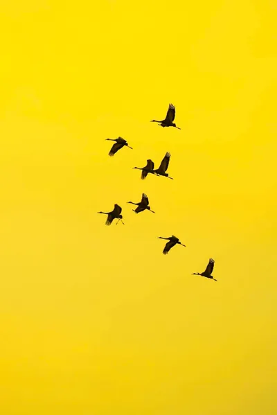 칼럼/ 아름다운 인생, 따뜻한 세상