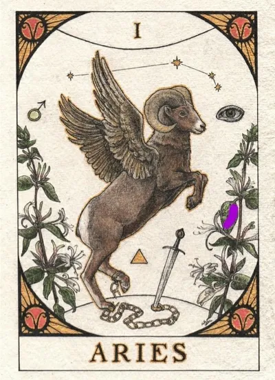 재미로 보는 2026년 별자리 운세