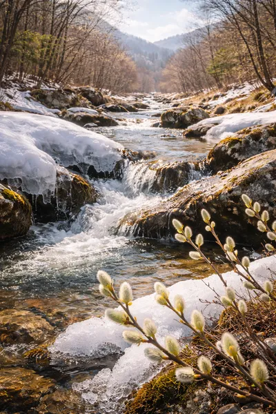 입춘, 봄을 세우는 시간이 오다