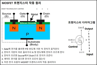 태양에서 양자까지