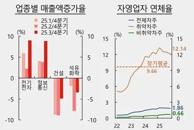 취약 자영업자의 연체율은 12.14%