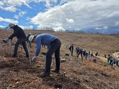 SK텔레콤과 유한킴벌리 임직원, 가족 100여 명이 함께 모여 ‘평화의숲’