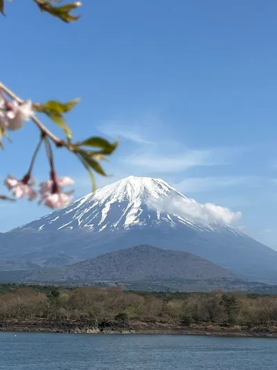 후지산에서 일본을 생각하다